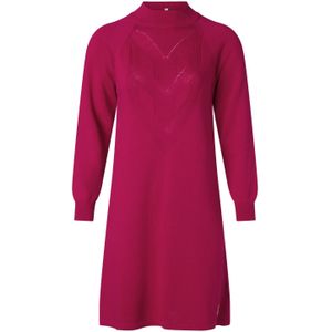 Lange mouw jurk - Blutsgeschwister (Roze)