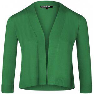 Bolero - Mak Sweater - Groen - Maat S