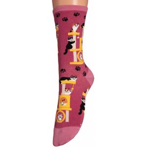 Socksmith - Kousjes - Roze/Multicolour - Kattenprint