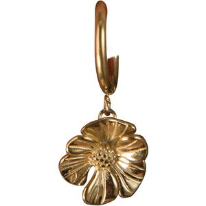Oorbellen dames - Day&Eve by Go Dutch Label - Goud - Maat One size