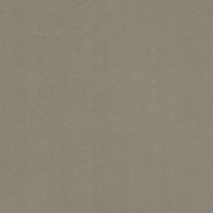 Pure Brown Vloer-/Wandtegel | 60x60 cm Bruin Uni