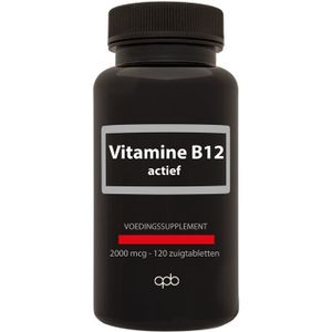Vitamine B12 Actief - 2000mcg - Vitaminepreparaat - Blauwe Bessenextract