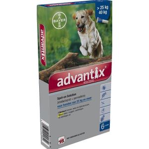 Stof Aanwezigheid steek 10 korting! advantix spot-on solution voor honden - voor honden 4 kg - 10  kg (4 pipetten) - Dierenbenodigdheden online | Lage prijs | beslist.nl