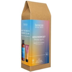 Benecos Gset natural basics sh 1st