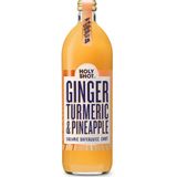 holyshot Ginger turm&pinaplbio 750ml