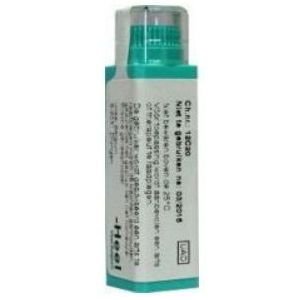 Homeoden Heel - Berberis vulgaris 200K - Granules - 6 gram