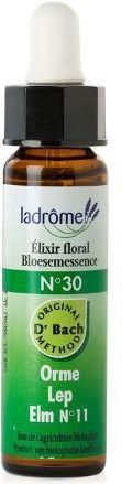 La Drôme - Iep - Bloesemremedie - 10 ml - Veldiep
