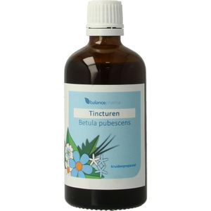 balancepharma Betula pubescens tincturen 100ml