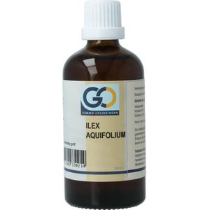 Go Ilex aquifolium bio 100ml