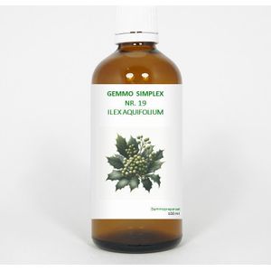 Balancepharma - Gemmo Simplex 19 - Kruidenpreparaat - Ilex Aquifolium - Alcohol 20%