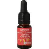 LaDrôme - Charme/Hornbeam - Bio Kruidenpreparaat - 40% Alcohol v/v