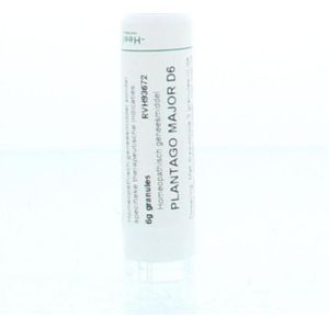 Homeoden - Plantago Major D6 - Homeopathisch Geneesmiddel - 6 Gram