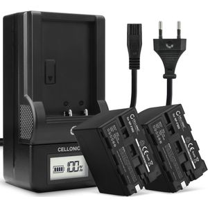 2x Batterij voor Sony NEX-FS100P Accu 6600mAh + Oplader