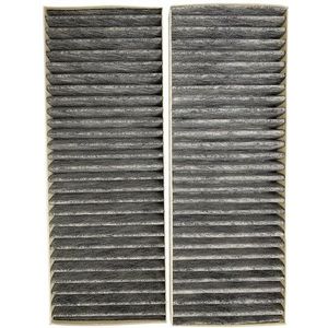 Blaupunkt Koolstoffilter AFCFCAASPC90 (2st.)