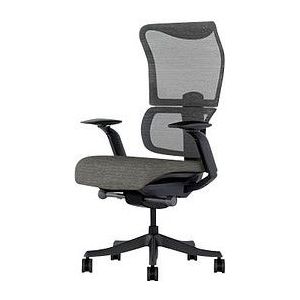 FlexiSpot Bürostuhl BS8 Pro Stoff grau, Gestell grau
