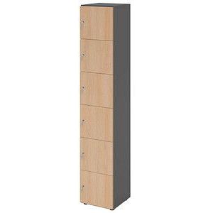 HAMMERBACHER Schließfachschrank grafit, eiche V264L6/G/E/DS, 6 Schließfächer 40,0 x 42,0 x 215,6 cm
