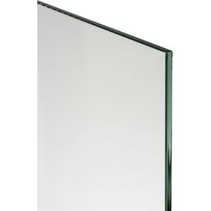 SanyOne  douchewand helder glas 75 x 195 cm