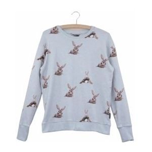 Sweater SNURK Men Bunny Bums Grey-M