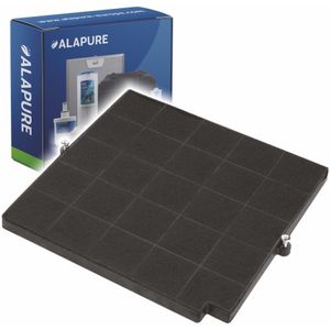 Koolstoffilter voor AEG 50288593002 Type F16