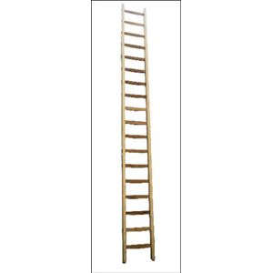 Ladder hout 17 sporten 4.50mtr