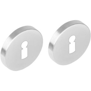 Sleutelrozetten verdekt �53x8mm met nokken rvs