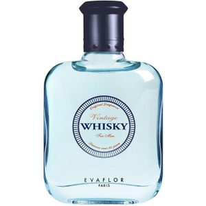 Evaflor Whisky Vintage eau de toilette spray 100 ml