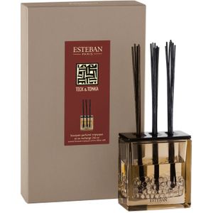 Esteban Classic Teck & Tonka Geurstokjes Triptyque 250ml