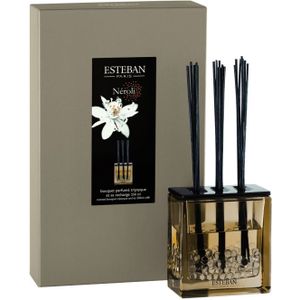 Esteban Classic Néroli Geurstokjes Triptyque 250ml