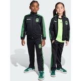 adidas - Firebird - Trainingspak - Geometrische Graphics - 100% Polyester (Gerecycled)