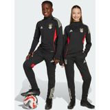 adidas - Benfica - Sportbroek - Zwart - 100% Polyester - AEROREADY