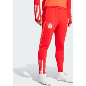 FC Bayern München Tiro 23 Training Broek