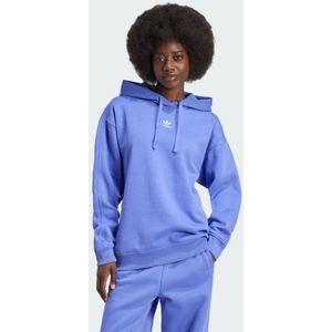 Essentials Loose Fleece Hoodie