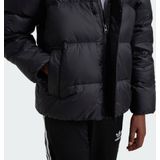 Adidas - Adicolor Down Jacket - Jack - Zwart - 100% Gerecycled Nylon