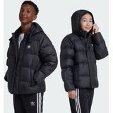 Adidas - Adicolor Down Jacket - Jack - Zwart - 100% Gerecycled Nylon