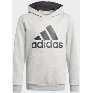 adidas Essentials Hoodie