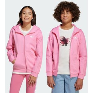 adidas Originals x Minecraft Graphic Hoodie