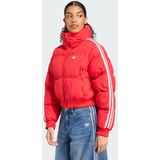 ADIDAS ORIGINALS - Adicolor - Winterjas - Rood - Gewatteerd