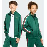 FIREBIRD LOOSE TRAININGSJACK