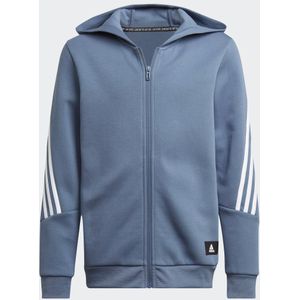 Future Icons 3-Stripes Ritshoodie