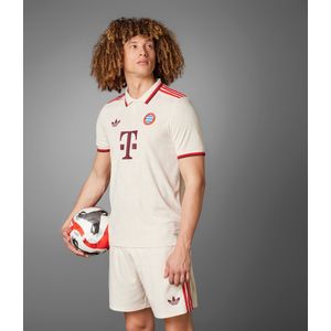 FC Bayern München 24/25 Authentiek Derde Shirt