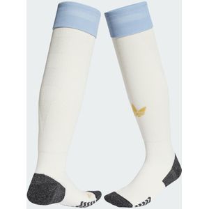 Argentinië Anniversary Sokken