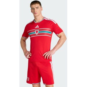 Wales 26 Thuisshirt