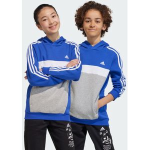 Tiberio 3-Stripes Colorblock Fleece Hoodie Kids