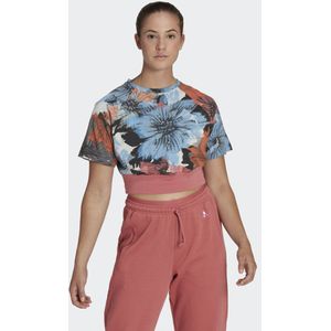 Allover Print Cropped T-shirt