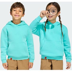 adidas Minecraft Terrex Hoodie