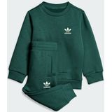 adidas - CREW SET IN - Trainingspak - Groen