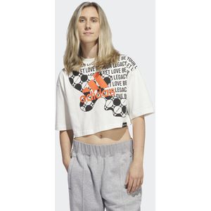 Pride Cropped Graphic T-Shirt (Gender Neutral)