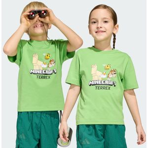adidas Minecraft Terrex T-shirt