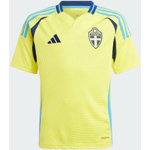 Zweden 24 Thuisshirt