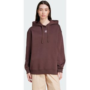 Essentials Loose Fleece Hoodie